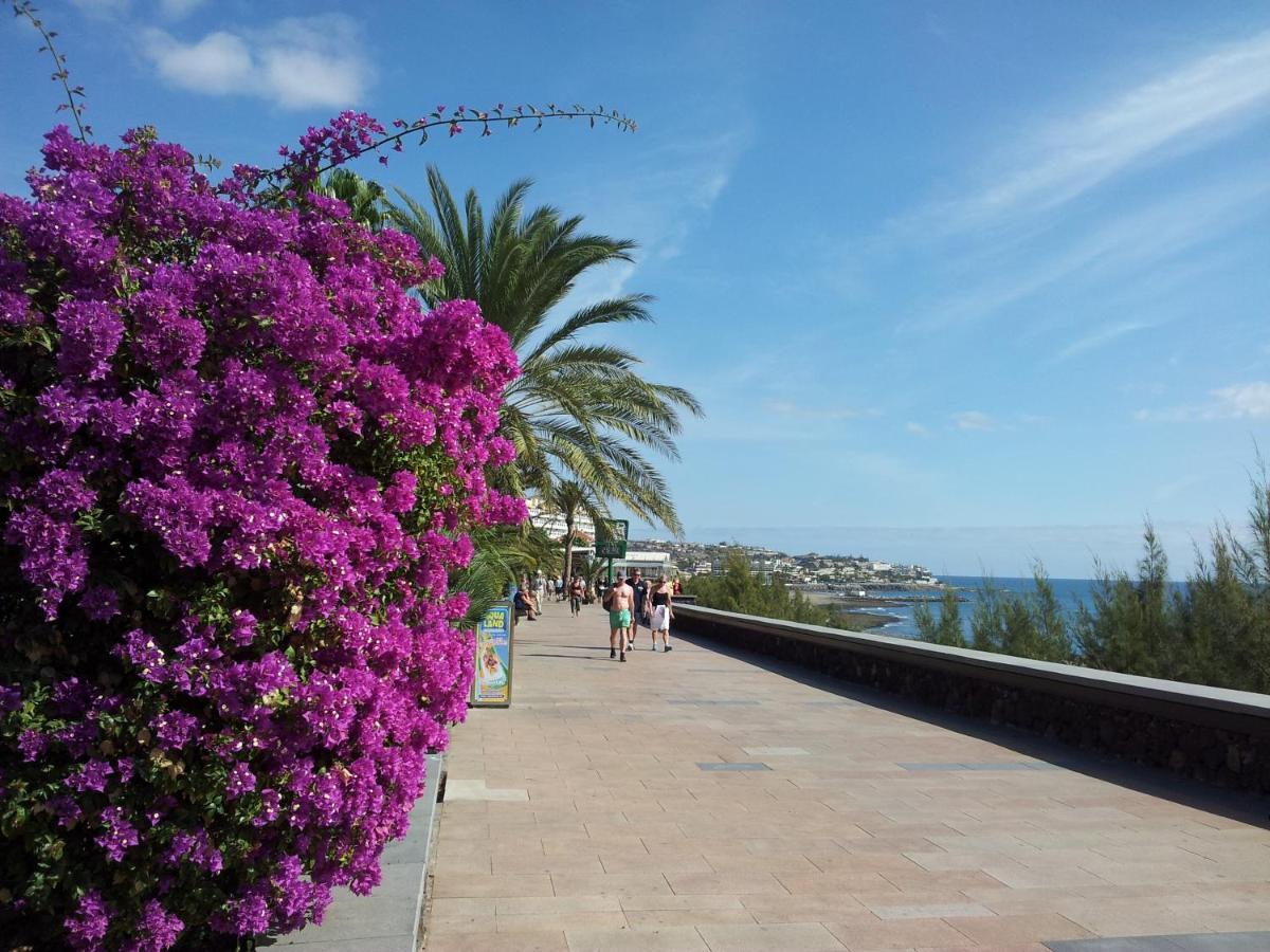 Apartamentos Horizonte Playa del Ingles  Dış mekan fotoğraf