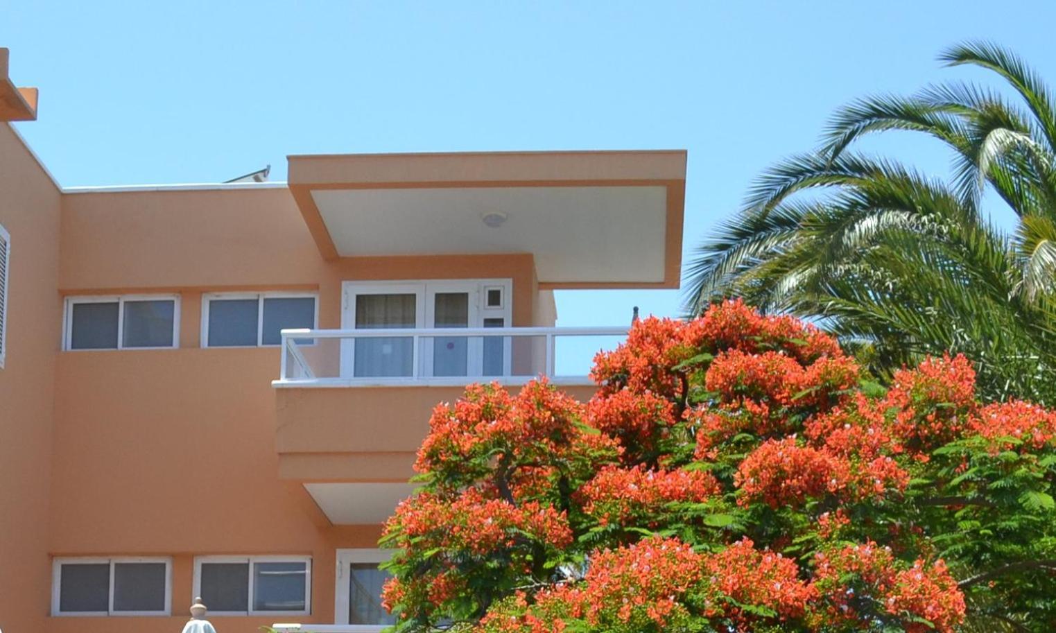 Apartamentos Horizonte Playa del Ingles  Oda fotoğraf