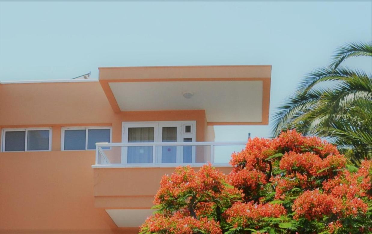 Apartamentos Horizonte Playa del Ingles  Oda fotoğraf