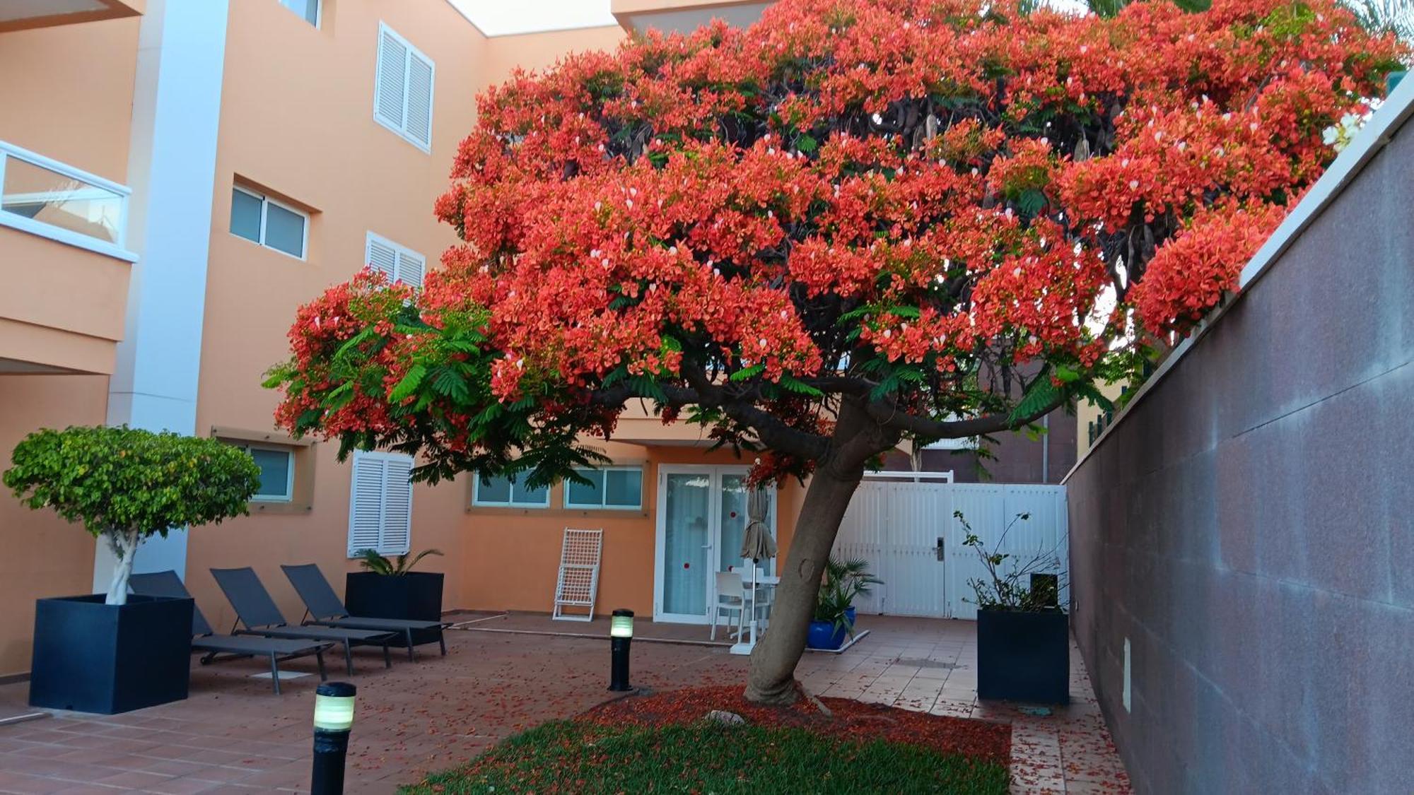 Apartamentos Horizonte Playa del Ingles  Dış mekan fotoğraf