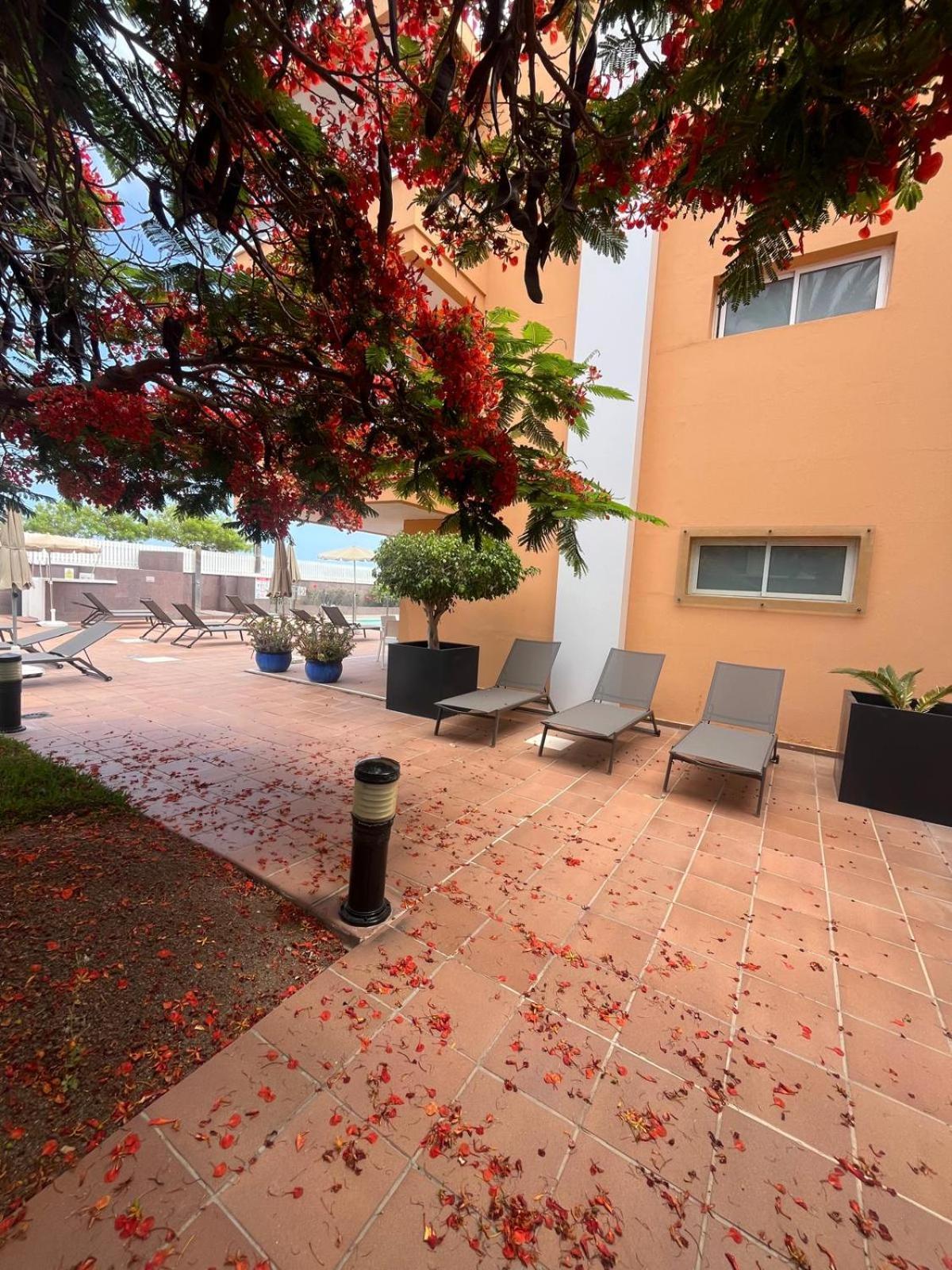 Apartamentos Horizonte Playa del Ingles  Dış mekan fotoğraf